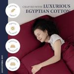 Ashton 100% Egyptian Cotton Queen Sheet Set