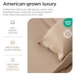 Supima Cotton 1000 Thread Count Queen Sheet Set