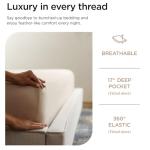 Supima Cotton 1000 Thread Count Queen Sheet Set