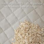 Full/Queen Microfiber Quilt Bedding Set with Shams