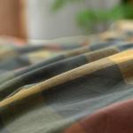 Reversible Plaid Duvet Set with 2 Pillowcases