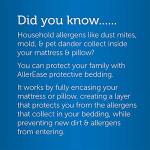 AllerEase Twin XL Waterproof Allergy Mattress Protector