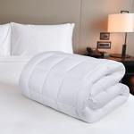 Utopia Bedding Twin Quilted Mattress Protector