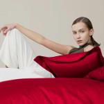 Burgundy King Size Silk-Like Satin Bed Set