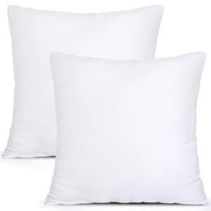 MIULEE Set of 2 Square Pillow Inserts 18x18