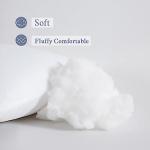 MIULEE Set of 2 Square Pillow Inserts 18x18
