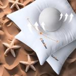 MIULEE Waterproof Outdoor Throw Pillow Inserts - 2 Pack
