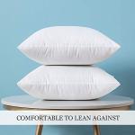 MIULEE Set of 2 Square Pillow Inserts 18x18