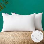 Outdoor Waterproof Pillow Inserts for Patio Sofas