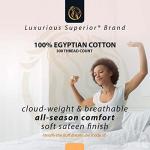 Premium Combed Cotton Red Bed Skirt for Queen