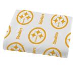 NFL Pittsburgh Steelers Twin Bed in a Bag Set