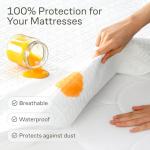 Waterproof Queen Mattress Protector with 360 Coverage