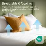 Waterproof Queen Mattress Protector with 360 Coverage