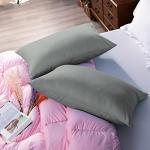 NTBAY Egyptian Cotton Queen Pillowcases - Set of 2, 500 Thread Count Cotton Pillowcases - Soft and Breathable Envelope Closure Pillow Cases - 20x30 Pillow Covers for Bed, Dark Grey
