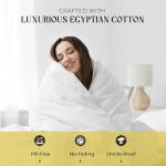 Mayfair Linen 100% Egyptian Cotton Sheets Full Size - 1000 Thread Count 4 PC Deep Pocket Full Size Bed Sheets Set, Soft Sateen Weave Luxury Hotel Cooling Sheet, Fits Mattress Upto 18" - Light Blue