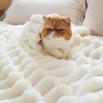 Bedsure White Throw Fleece Blanket for Couch - Super GentleSoft Cozy Blankets for Women, Cute Small Throws for Girls, 50x60 Inches, Wider Striped Design