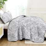 WONGS BDEEING Quilt Queen Size, Grey Quilt Bedding Set with 2 Pillowcases, Botanical Quilt for Queen Bed, Soft Microfiber Lightweight Coverlet Bedspread for All Season (96"×90", 3 Pieces)