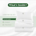 Elegant Comfort 3-Piece Stripe Cotton Comforter Set - 100% Egyptian Cotton Premium Hotel Quality - Box Stitched, All Season Down Alternative Duvet Insert with Corner Tabs, Queen, White