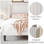 SHA CERLIN Queen Size Velvet Bed Frame with Vertical Channel Tufted Wingback Headboard, Upholstered Platform Bed with Wood Slats, No Box Spring Needed, Easy Assembly, White
