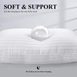 COZSINOOR Bed Pillows for Sleeping Queen Size - Hotel Quality Set of 2 - Breathable Down Alternative Microfiber Filled for Back, Stomach, Side Sleepers, Cooling & Skin-Friendly