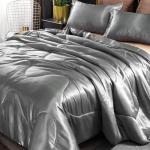 Holawakaka Luxurious Solid Satin Silk Like Comforter Set Ultra Soft Silky Quilt Breathable Bedding Bed-in-A-Bag Queen Size (Grey)