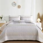 WONGS BEDDING Beige Quilt Queen Size, Bohemian Stripe Quilt Sets 3 Pieces Beige Boho Quilted Bedspread Set Lightweight Microfiber Coverlet Bedding Set All Season (96"x90")