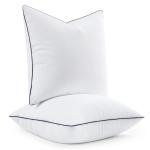 MIULEE 20x20 Pillow Inserts, Fluffy Down Alternative Filling Pack of 2 Ultra Soft Throw Pillows for Sofa Couch Bed