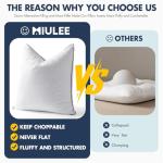 MIULEE 20x20 Pillow Inserts, Fluffy Down Alternative Filling Pack of 2 Ultra Soft Throw Pillows for Sofa Couch Bed