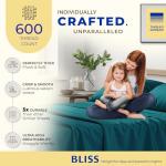 THREAD SPREAD 100% Egyptian Cotton Queen Size Sheet Set - 4 PC 600 Thread Count Egyptian Cotton Sheets Set for Queen Size Bed (Teal), Soft, Cooling, Luxury Hotel 16" Deep Pocket Sateen Bedsheet