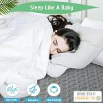 Lunsing Waterproof Queen Mattress Protector, Soft Breathable and Noiseless Queen Size Mattress Pad Cover with 6-18 in Deep Pockets,Gray