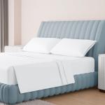 Carressa 100% Egyptian Cotton Queen Sheet Set