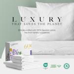 Luxury Egyptian Cotton King Sheet Set - 4 PCs