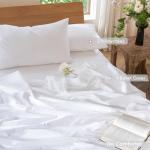 Bright White Cotton Linen Duvet Cover Set - Queen