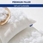 MIULEE 18x18 Pillow Inserts Set of 2, Square Decorative Throw Pillows Premium Fluffy Pillow Stuffer for Living Room Sofa Couch Bed