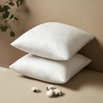 MIULEE 18x18 Pillow Inserts Set of 2, Square Decorative Throw Pillows Premium Fluffy Pillow Stuffer for Living Room Sofa Couch Bed