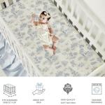 Brandream 3 Pieces French Country Toile Crib Bedding Set for Girls Vintage Blue Toile Floral Print 100% Cotton Baby Girl Nursery Bedding Collection - Ruffles Quilt,Toile Crib Sheet,Crib Bed Skirt