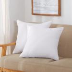 Acanva Down Alternative Throw Pillow Inserts Hypoallergenic Square Soft Form Stuffer Decorative Cushion Sham Filler, 18 x 18, White 2 Count