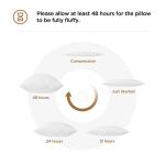 Acanva Down Alternative Throw Pillow Inserts Hypoallergenic Square Soft Form Stuffer Decorative Cushion Sham Filler, 18 x 18, White 2 Count