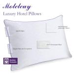 Super Soft Down Alternative Bed Pillows Set of 2