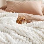 Bedsure GentleSoft King Size Blanket for Bed - Cozy Soft Blankets for Women, Cute Large Bedding Fleece Throws for Girls, Off White, 108x90 Inches
