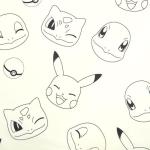 Northwest Pokemon Twin Sized Bed in a Bag Set, Pikachu Squirtle Eevee Charmander, Anime Bedding for Girls Boys, Battle Squad