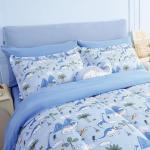 Dinosaur Blue Twin Comforter Bed Set for Kids