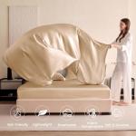 Luxury 4-Piece Mulberry Silk Bed Set, Champagne