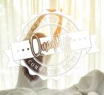 Elegant Comfort 2-Pack Pinch Pleat Sham Set