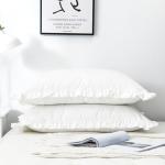 Cozy White Ruffle Pillow Shams Set of 2