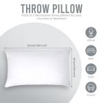 White Throw Pillows (Pack of 2) 20 x 26 Inches