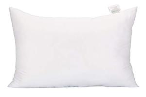 Acanva Fluffy Queen Pillow Insert - White
