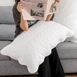 Ultra Soft Quilted Pillow Shams Set of 2