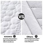 Ultra Soft Quilted Pillow Shams Set of 2