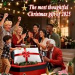 Queen Size Cooling Memory Foam Pillow Set of 2